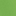 Vivid Green/Black