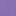 Aster Purple