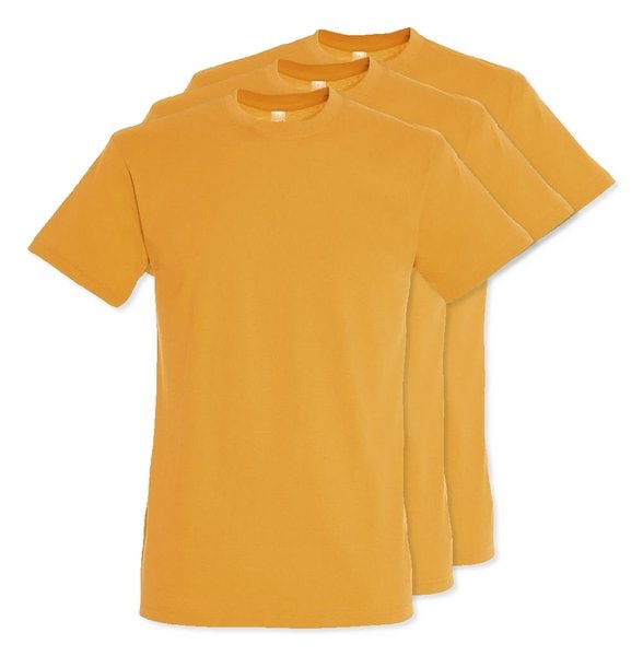 Pack of 3 SOLS 11380 - REGENT Unisex Round Collar T Shirt