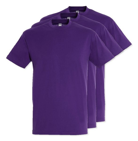 Pack of 30 SOLS 11380 - REGENT Unisex Round Collar T Shirt